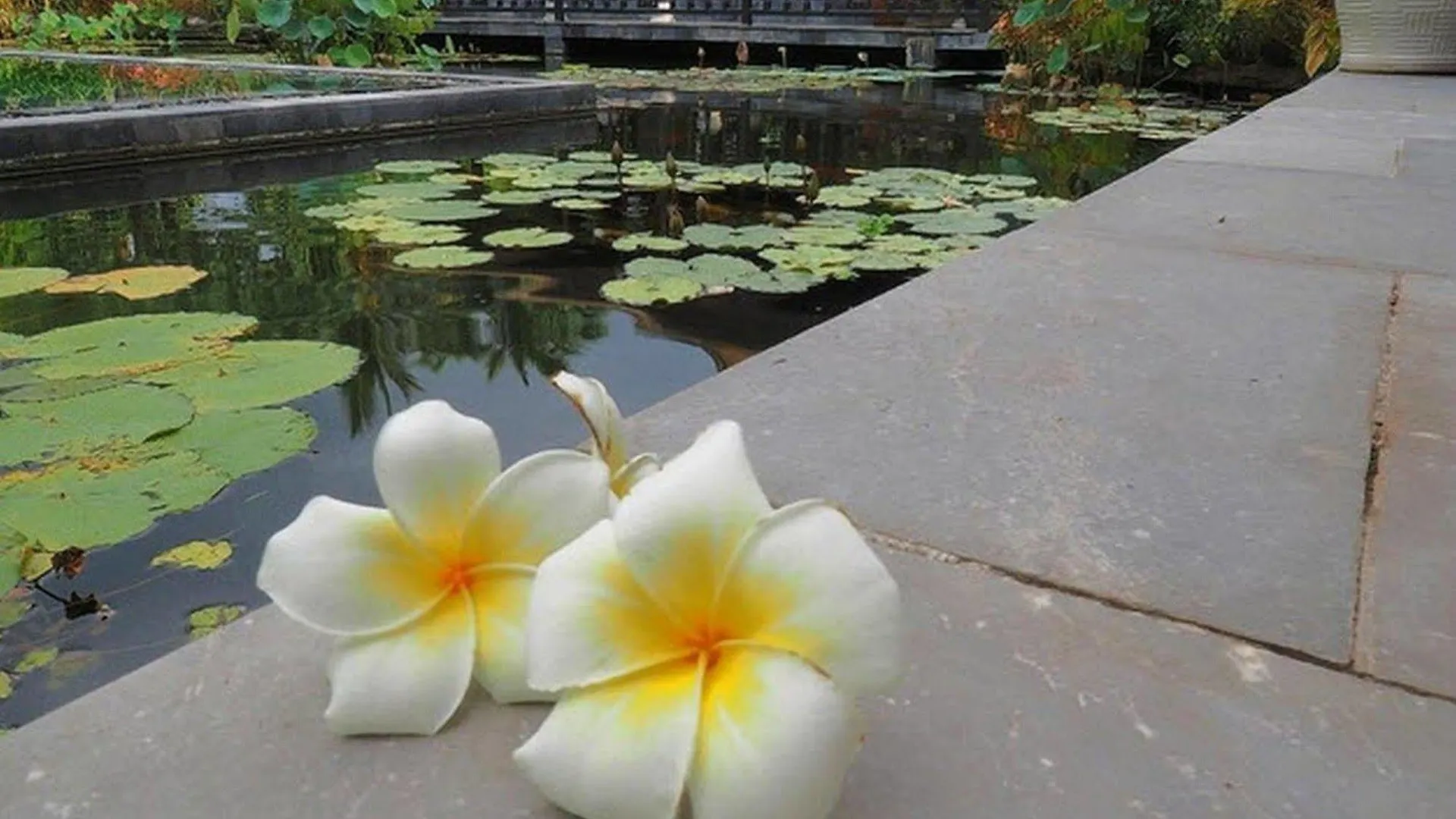 Villa Hoa Su Hoi An