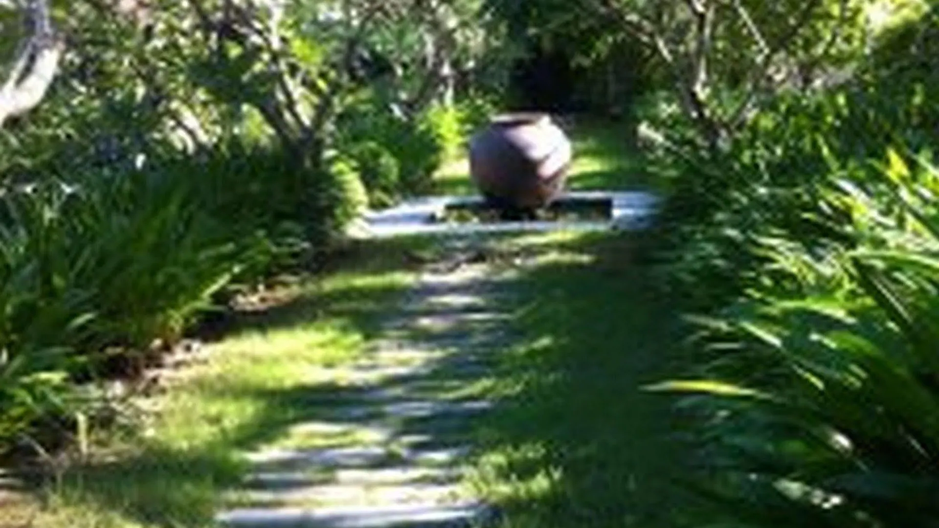Villa Hoa Su Hoi An