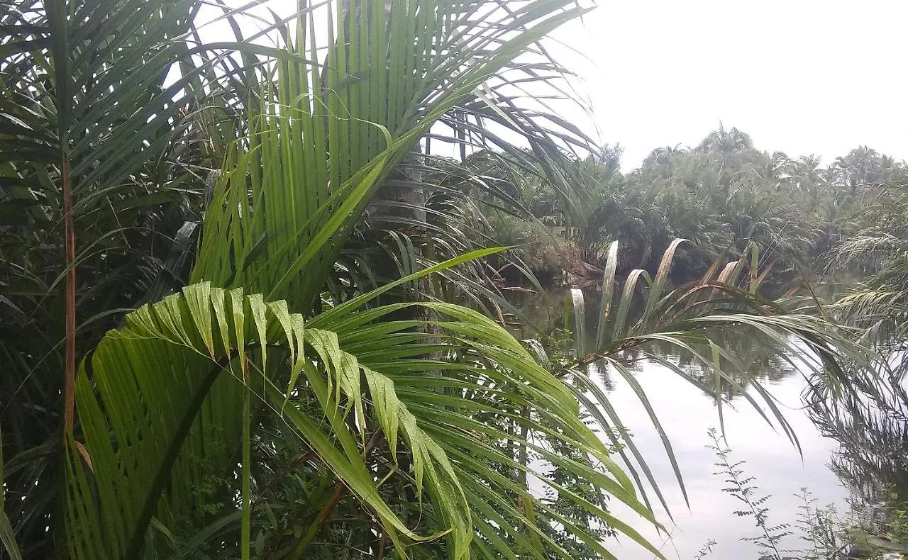 Villa Hoa Su Hoi An