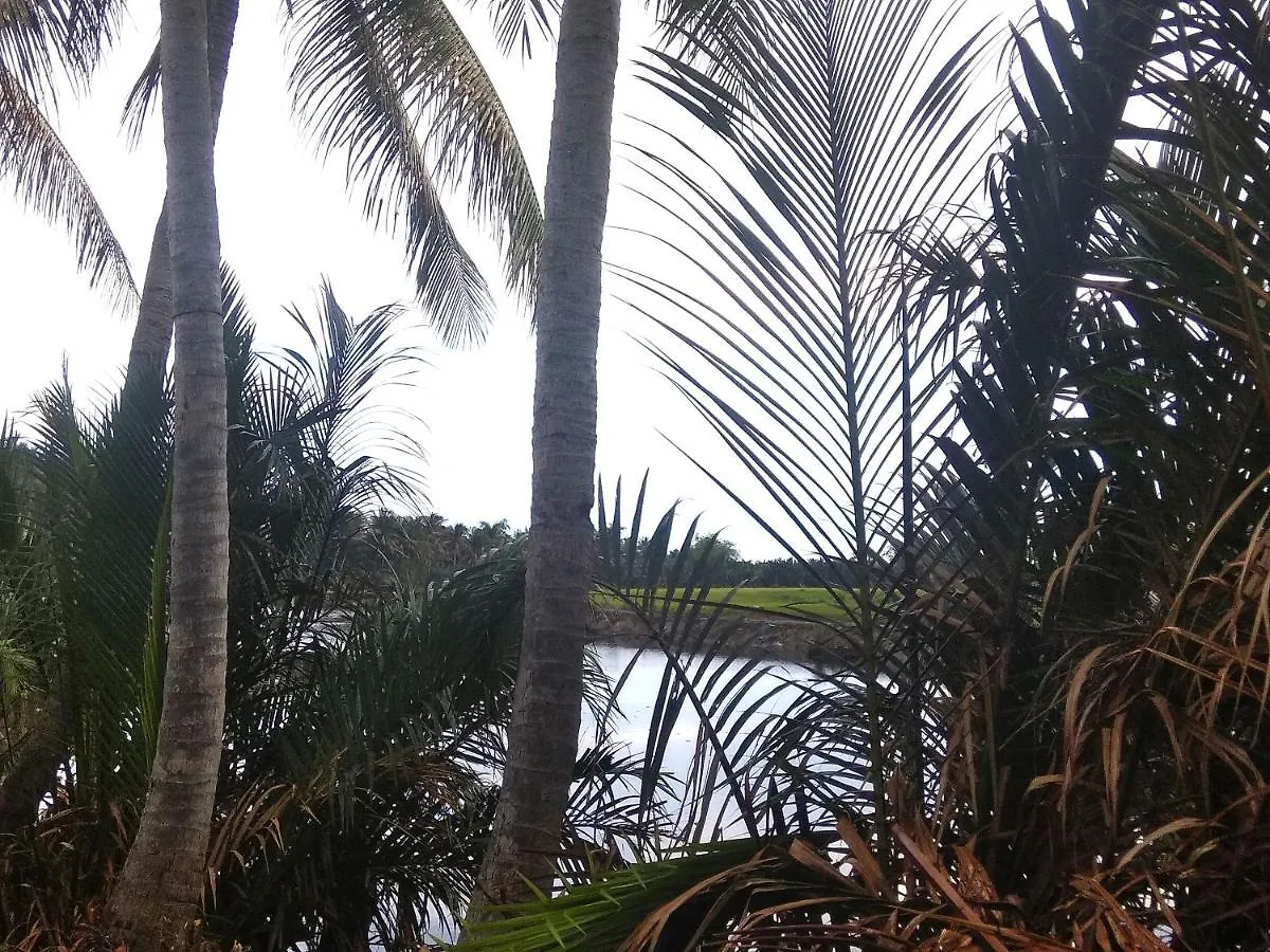 Villa Hoa Su Hoi An